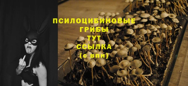 гашишное масло Михайлов