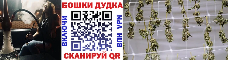 Каннабис AK-47  Купить где  Александровское 